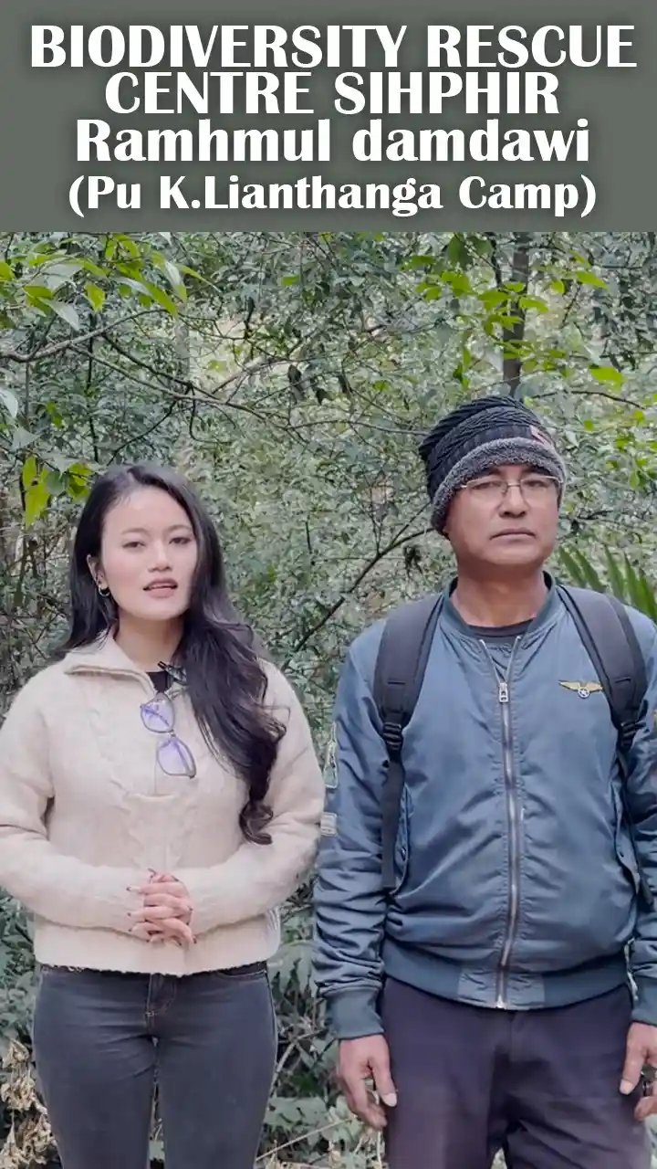 BIODIVERSITY RESCUE CENTRE SIHPHIR || Ramhmul damdawi (Pu K.Lianthanga Camp)
